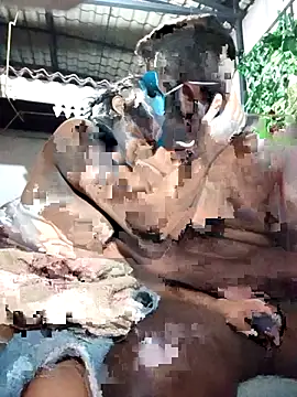 chathu danu online show from 1, 12, 2025