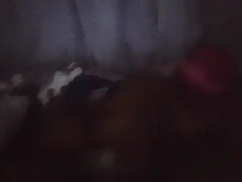 Snapshot of blackdickjeckmmm chatting on 4, 12, 2025 blackdickjeckmmm online show from 4, 12, 2025