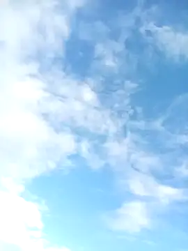 juunioreest online show from 10, 1, 2026