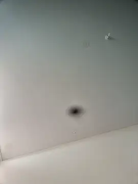 Snapshot of Hardwarelane67 chatting on 16, 3, 2026 Hardwarelane67 online show from 16, 3, 2026