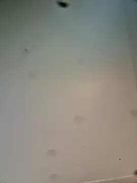 Snapshot of Hardwarelane67 chatting on 23, 3, 2026 Hardwarelane67 online show from 23, 3, 2026