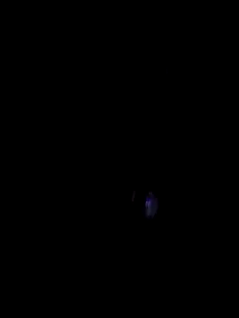 00x0x00 online show from 29, 3, 2026