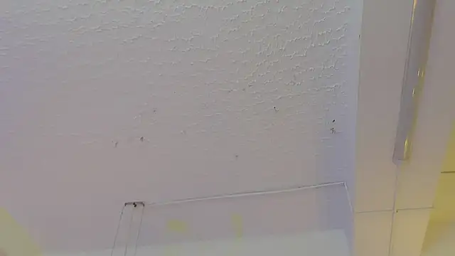 Snapshot of pucca7 chatting on 13, 5, 2026 pucca7 online show from 13, 5, 2026
