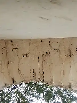 Snapshot of Xxx_suhana chatting on 27, 11, 2025 Xxx suhana online show from 27, 11, 2025