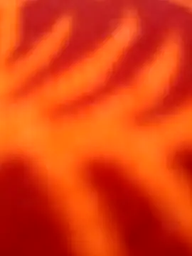 Snapshot of Nandani-758 chatting on 8, 4, 2026 Nandani-758 online show from 8, 4, 2026