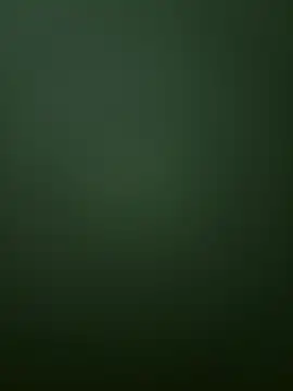 Spring-spring online show from 1, 12, 2025