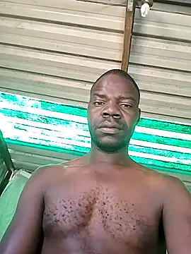 pdck2025 online show from 22, 11, 2025