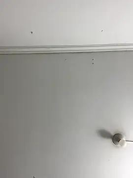 Rosa Vidal  online show from 29, 11, 2025