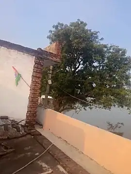 apka rockstarr online show from 1, 12, 2025