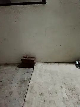 Sunenabhabh online show from 5, 4, 2026