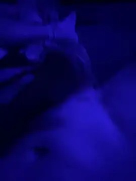 Tommy777B online show from 7, 2, 2026