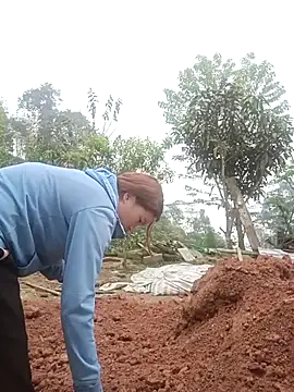 nangmo online show from 12, 3, 2026