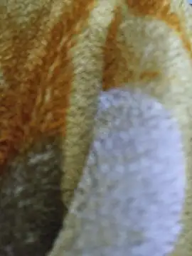 luckyutube online show from 21, 12, 2025