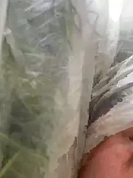 meganmeo online show from 24, 3, 2026