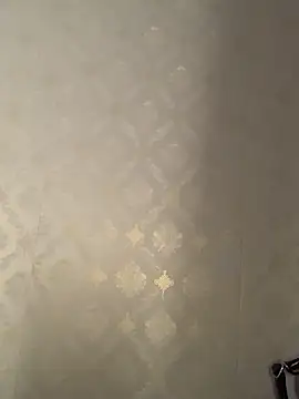 Snapshot of lana-kan chatting on 2, 4, 2026 lana-kan online show from 2, 4, 2026