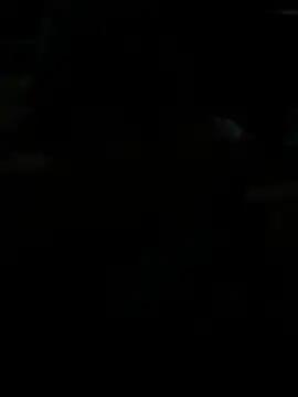 Snapshot of BigDick-A-Money chatting on 28, 4, 2026 BigDick-A-Money online show from 28, 4, 2026