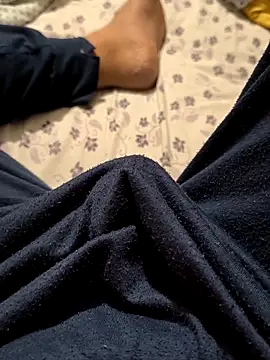 Snapshot of Alpaperve chatting on 4, 12, 2025 Alpaperve online show from 4, 12, 2025