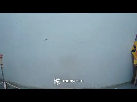 Snapshot of hottiemama69 chatting on 21, 3, 2026 hottiemama69 online show from 21, 3, 2026