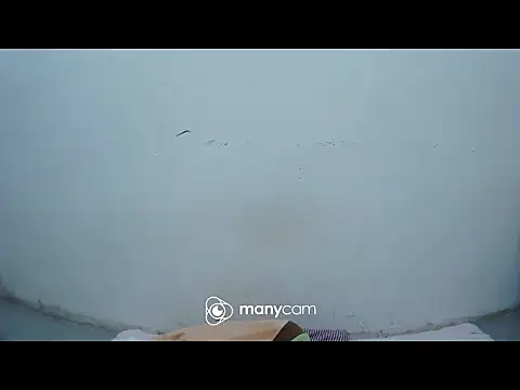 Snapshot of hottiemama69 chatting on 11, 4, 2026 hottiemama69 online show from 11, 4, 2026