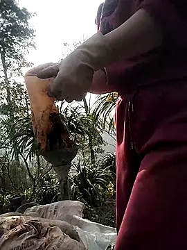 Alibabapi online show from 1, 3, 2026