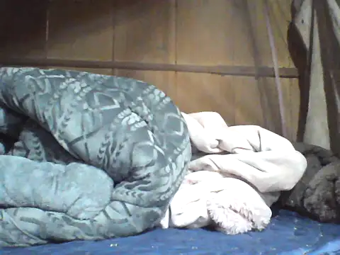 Alibabapi online show from 8, 4, 2026