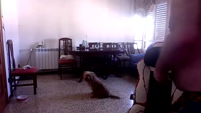 Snapshot of spartan24cm chatting on 16, 6, 2026 spartan24cm online show from 16, 6, 2026