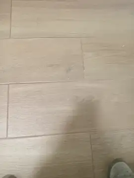 Valencianoo411 online show from 5, 12, 2025