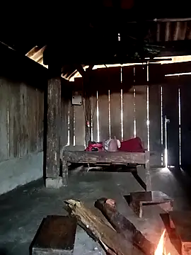 ava-dellght online show from 7, 1, 2026