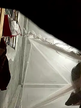 Wendy-babyy online show from 14, 1, 2026