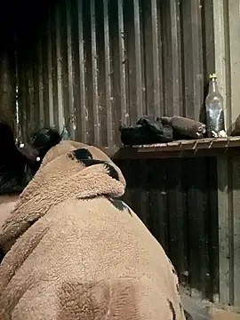 sary-hot2x online show from 7, 1, 2026