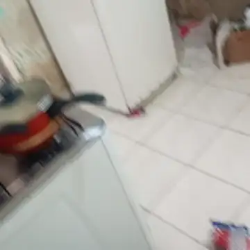 Snapshot of _-_-lu_- chatting on 4, 12, 2025 - -lu - online show from 4, 12, 2025