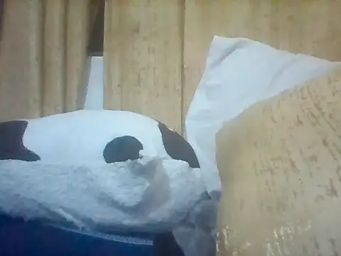 Snapshot of Thand03 chatting on 29, 3, 2026 Thand03 online show from 29, 3, 2026