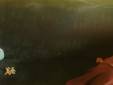 Snapshot of Bristi_03 chatting on 15, 6, 2026 Bristi 03 online show from 15, 6, 2026