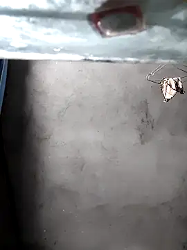 gigo-ulala online show from 16, 12, 2025