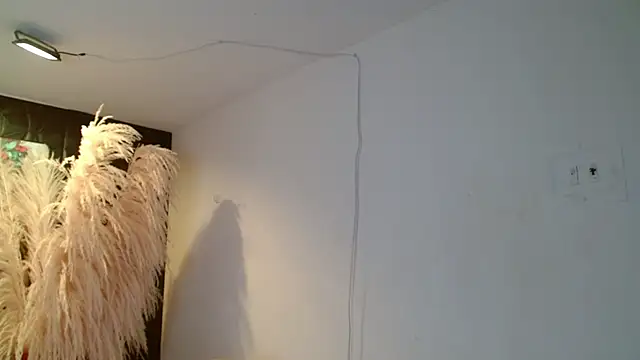 paisita1609 online show from 5, 3, 2026