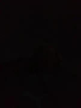 Snapshot of Andreskelly chatting on 22, 4, 2026 Andreskelly online show from 22, 4, 2026