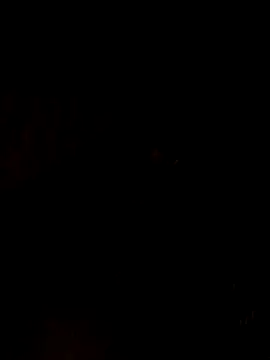 Snapshot of nehakapoor89 chatting on 14, 12, 2025 nehakapoor89 online show from 14, 12, 2025