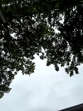 Snapshot of cmvoo chatting on 21, 12, 2025 cmvoo online show from 21, 12, 2025