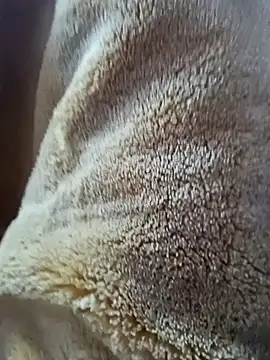 Snapshot of AR7v chatting on 15, 12, 2025 AR7v online show from 15, 12, 2025