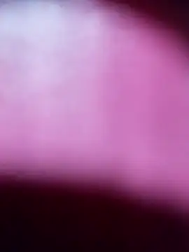 Snapshot of Myrelahot chatting on 21, 3, 2026 Myrelahot online show from 21, 3, 2026