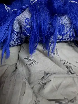 Snapshot of piedic chatting on 14, 12, 2025 piedic online show from 14, 12, 2025