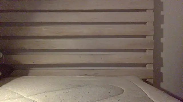 Snapshot of Palinchik chatting on 25, 2, 2026 Palinchik online show from 25, 2, 2026