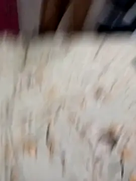 BEST-LOVER-1 online show from 11, 3, 2026