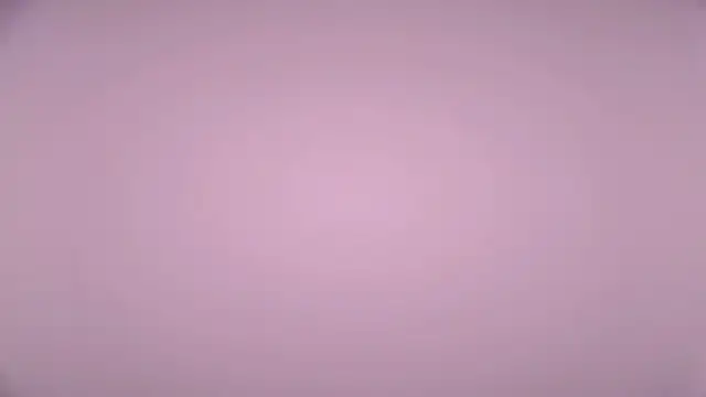 Snapshot of LexiMoss chatting on 17, 4, 2026 LexiMoss online show from 17, 4, 2026