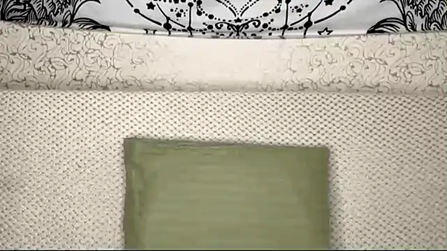 Snapshot of Shining_Robi chatting on 10, 4, 2026 Shining Robi online show from 10, 4, 2026