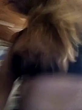 cari75 online show from 3, 2, 2026