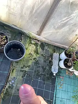 Snapshot of marcoboss chatting on 14, 1, 2026 marcoboss online show from 14, 1, 2026