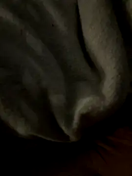 Snapshot of kb20sss chatting on 14, 12, 2025 kb20sss online show from 14, 12, 2025