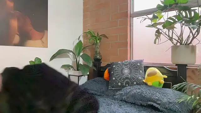 Snapshot of Andy_Belier23 chatting on 20, 2, 2026 Andy Belier23 online show from 20, 2, 2026