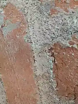 Snapshot of Soniya5533 chatting on 14, 12, 2025 Soniya5533 online show from 14, 12, 2025